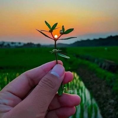 TruthVibes07's profile picture. 🌸Jay shree ram 🌼Tech lover 
#stufflistingsarmy ♥️🤟