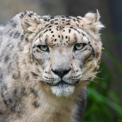 dave_h747's profile picture. Free speech is an endangered species and must be protected from those who wish to do it harm. Retired military and LEO. Opinions my own.