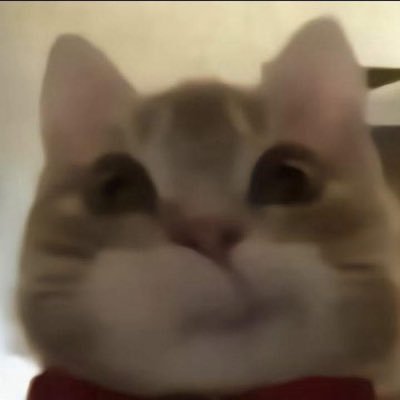 wwannwy's profile picture. @GOT7 #IGOT7 💚