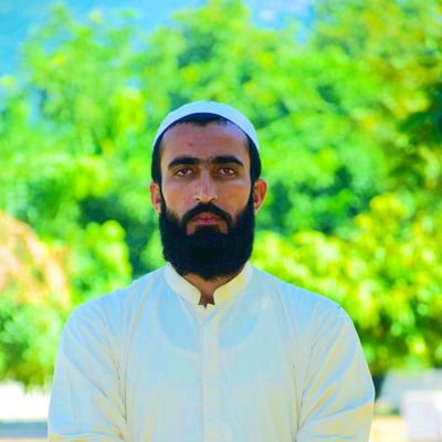 AliHassanS8952's profile picture. 