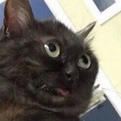 StoicMark79's profile picture. Give a man a purpose and the ability to achieve it and he will crawl over broken glass with a smile.