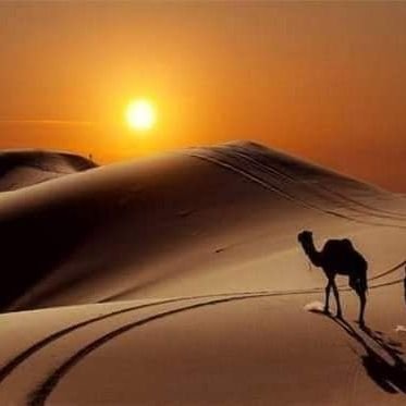 akrammerzouk090's profile picture. I love to travel, make friends, share joy, and learn about new cultures around the world.