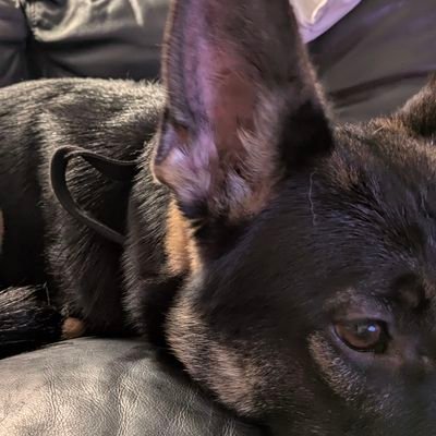 0xJoeKing's profile picture. leverage trading on shitcoins ↓

https://t.co/tIL4eBw1Uz