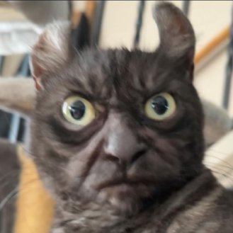 yerdeniiz's profile picture. Kişiliğim de delirtici derecede bulutlu.