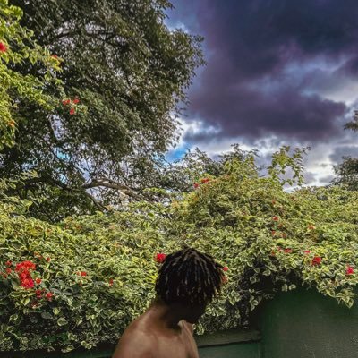letandrewcook's profile picture. Product engineering consultant (AI/ML/Web3) • 2x startup CTO ✨✨Head of research @tecmie • Hallucinating in my cells — ✦ @attestprotocol ✨✨