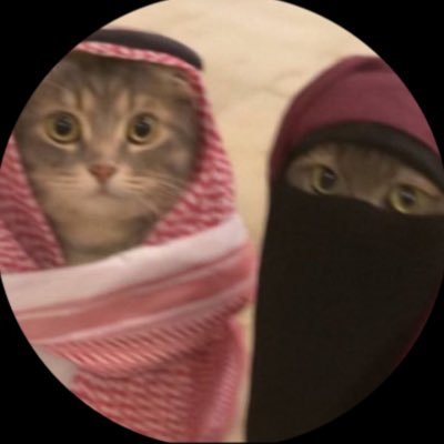 leeeh944's profile picture. 