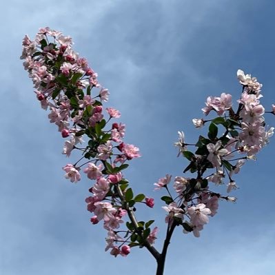 Masora_614's profile picture. 自然体の藤井風くんが大好き🍃娘も風民です❥ 『人生は旅。景色を楽しんで行こ。』風くん垢を作りました¨̮⃝無言フォロー失礼します。風くんファンの方と仲良くなりたいです♡BTSも大好きﾃﾃﾍﾟﾝです💜よろしくお願いします♬.*ﾟ