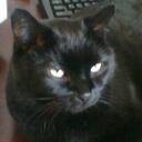 Larry Alt - @larryalt - Twitter