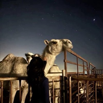 Rlie_2's profile picture. يموت وجذوعه من القيظ يبّاس، ولا يبيّن للسحاب .. احتياجه