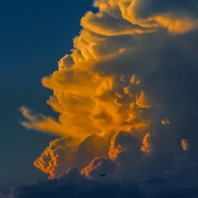 Asmara25_'s profile picture. 