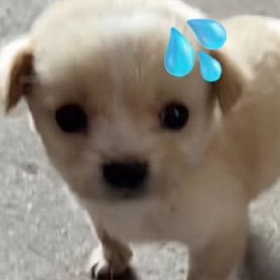 chuandjju's profile picture. 정지 대면씀