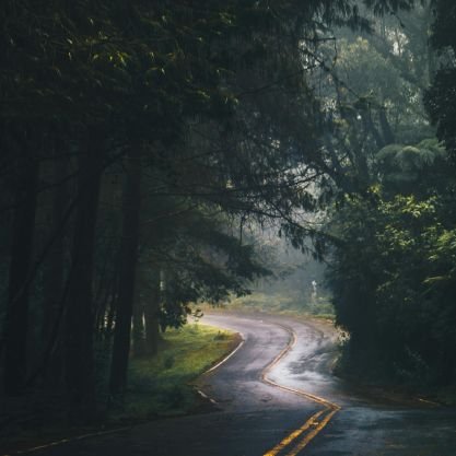 Mosl775's profile picture. 