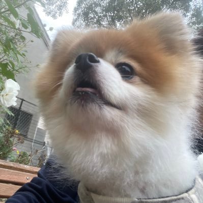 2WgKCzf7yr70703's profile picture. 