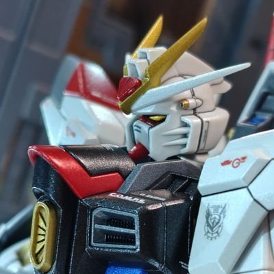 Terra_Usagi's profile picture. ミノリスで姫子さん大好きスタレ&原神＆ゼンゼロプレイヤー
牛歩だけどガンプラ、美プラを作るのが好き
週四で運動を怠るな