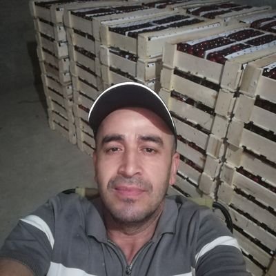 bogbon76's profile picture. Асал, барча турдаги мевалар хамда мева кўчатлари. 
+998 91 326 66 99 
Телеграм