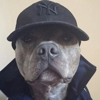 91GP_SA's profile picture. 