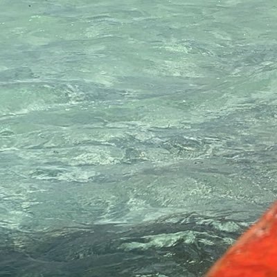 niiyaasl's profile picture. À l’instinct