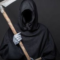 Donati (@apocalypse_skr1) 's Twitter Profile