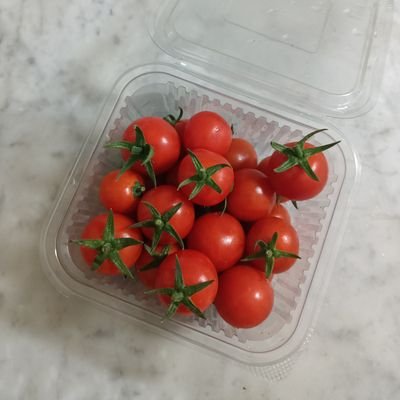 couch27potato's profile picture. ⚠️this acc owner is made by the leftover of human's ingredients...⚠️.