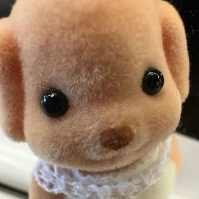 Paxxc221561's profile picture. 