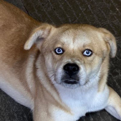 Lr1Ct's profile picture. 小号@lx8659193982864