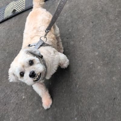 zakwanoe's profile picture. 🚧 mohon maaf ketidaknyamanan anda, life masih dalam perbaikan.