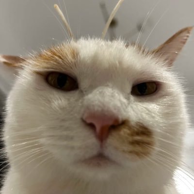 ratneshjain1993's profile picture. 