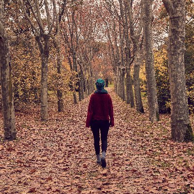 MarianneRightm1's profile picture. ✡️🇺🇸 🇮🇱 Am Yisrael Chai
#MAGA #TRUMP2024 #IStandWithIsrael 
Alumni @durham_uni / Alumni @BostonCollege
#businessgrad