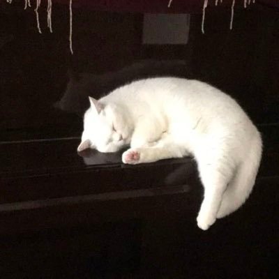 Auralce's profile picture. 