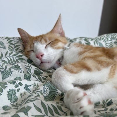 Momatsan's profile picture. 