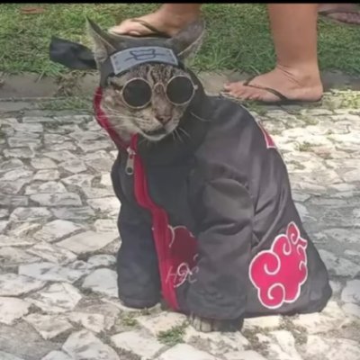 LezardArdent's profile picture. Modérateur Twitch et TikTok de @shironamie, goofy man dans le tchat et fan d'automobile, jeux vidéos et d'activités manuelles