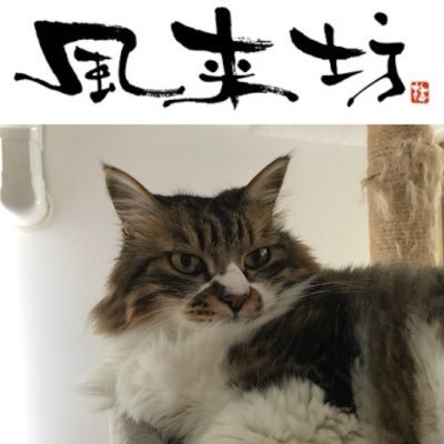 Hisashi_Arai's profile picture. 