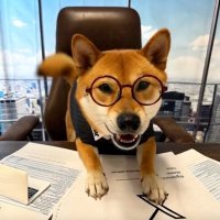 X CEO (@xceo_eth) 's Twitter Profile