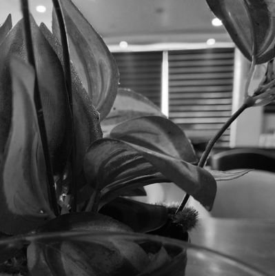 Saffron_shreya's profile picture. निरुत्तर! 🏊