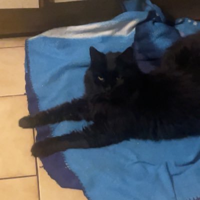 Tevd04's profile picture. 