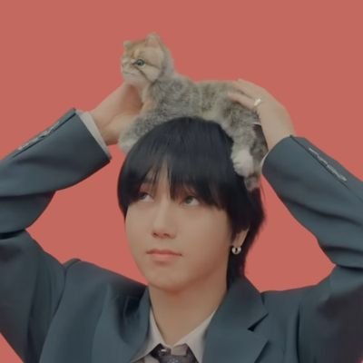 nightsungie's profile picture. 