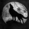 Shadow_Wolf262's profile picture. Huge fan of gaming I love talking to people and making new friends I enjoy interacting with cool friendly people show me respect then I will give it in return.