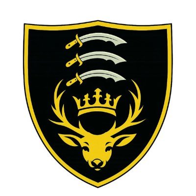 ChingfordAFC's profile picture. FA Charter Standard Club with 1 Sunday side now playing across Essex and London. EST. 2007