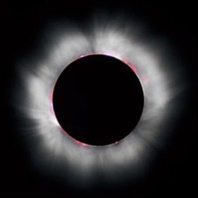 mrpoolnesara1's profile picture. BRACE 2202 210°-240° 11 3 IMPACT 2411 End Game