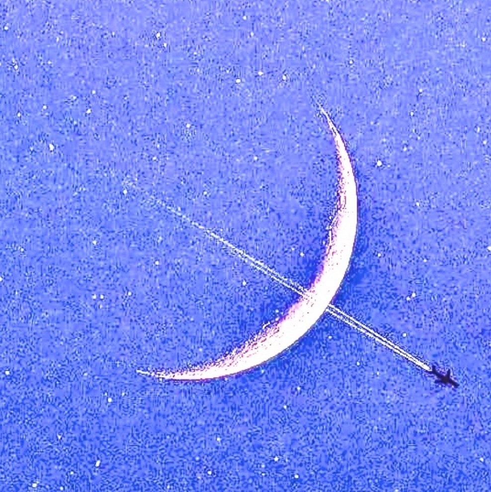 fishwolfrabbit2's profile picture. 好きなものを見ていたいアカウンチョ