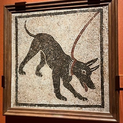 shidakakosuki7's profile picture. LOVE❤️志高湖 。コロナ以来なかなかキャンプに行けず　丁寧な暮らしを目指す日々　もちろんキャンプは大大大好き💜