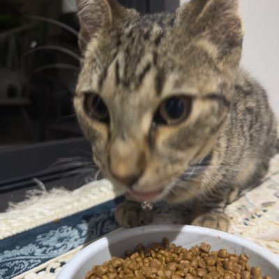 UchihaSasuke989's profile picture. 