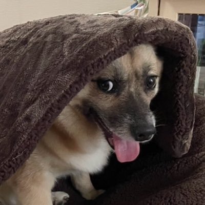 Mama0_0Murphy's profile picture. ベギラゴンとイオグランデから生まれし者