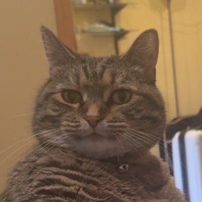 Twdganf's profile picture. 