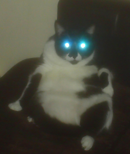 PREvolutionband's profile picture. 