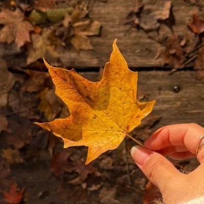 kaede_078686's profile picture. 女子高出身です。家庭の事情でSNS触れたことないです💦内緒ではじめてみました😣