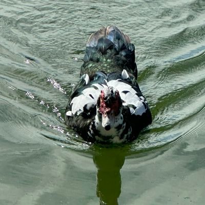 Jabvdvlkdbb's profile picture. 
