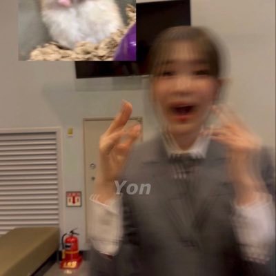 tdasyue's profile picture. 냐냐냥