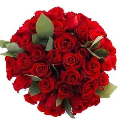 mmmsfjc's profile picture. LOVE LEADS