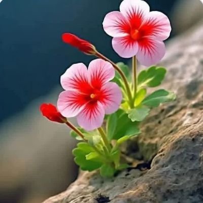 ByryRyad46372's profile picture. 
